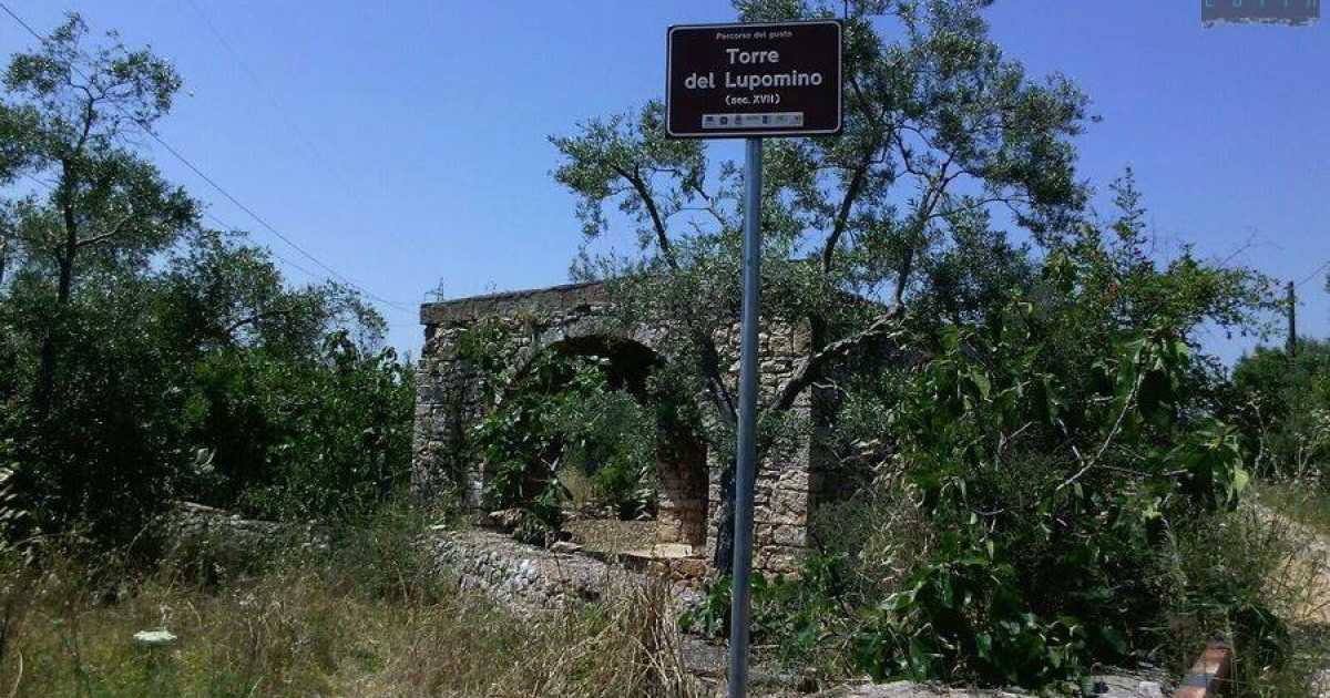 "Torre del Lupomino", nelle campagne di Bitonto la casa di un leggendario licantropo